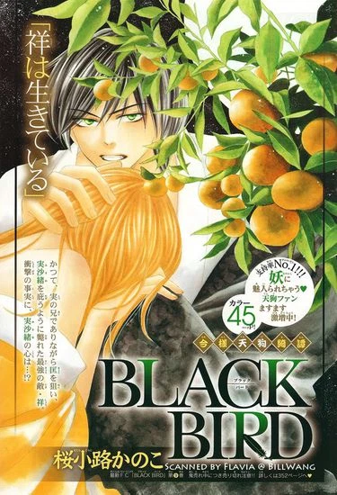 Чёрная птица