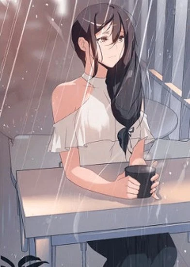 Занавес от дождя