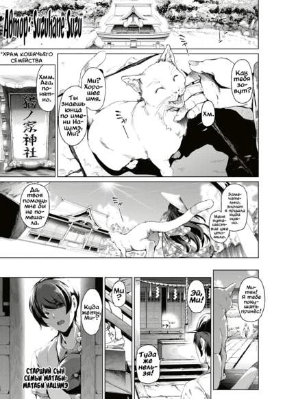 Пришла к парню кошечка...