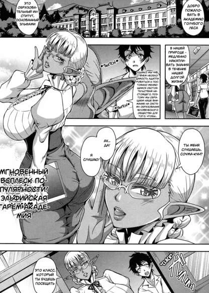 Гарем в академии эльфов