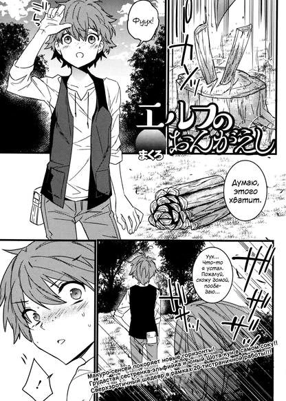 Благодарность эльфийки