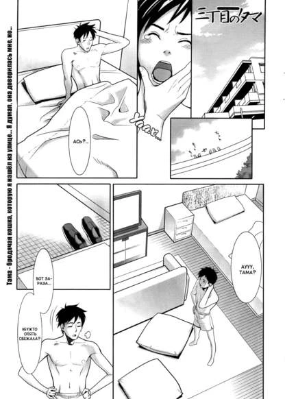 Tama from Third Street