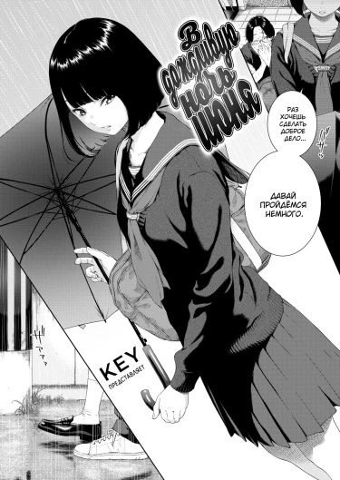 В дождливую ночь июня