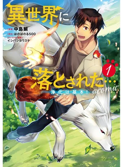 Призванный в иной мир... Очищение - основной скилл!